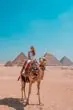 Randonnée à dos de chameau ou de cheval aux pyramides de Gizeh